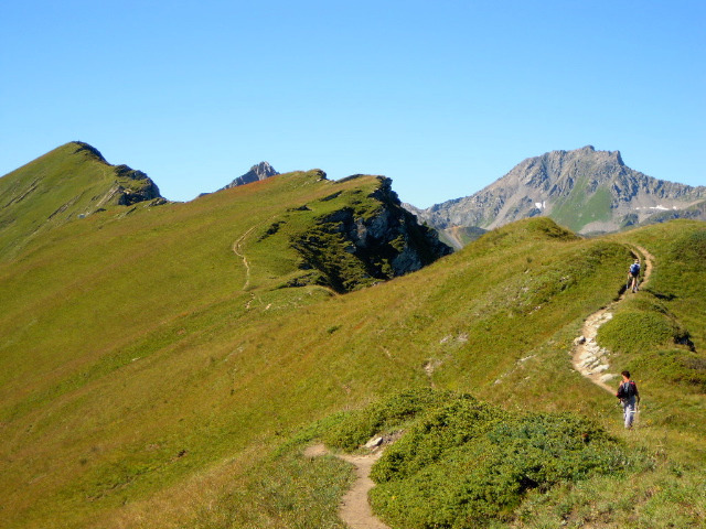 Photo de montagne en été